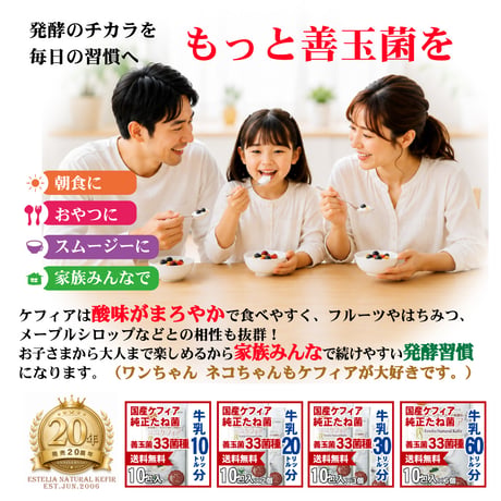 スーパーヨーグルト　３０リットル分　ケフィアたね菌