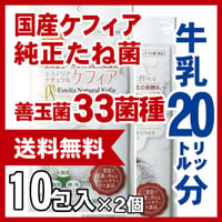 スーパーヨーグルト　２０リットル分　ケフィアたね菌
