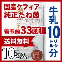 定期購入 １０リットル分　ケフィアたね菌