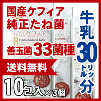 スーパーヨーグルト　３０リットル分　ケフィアたね菌