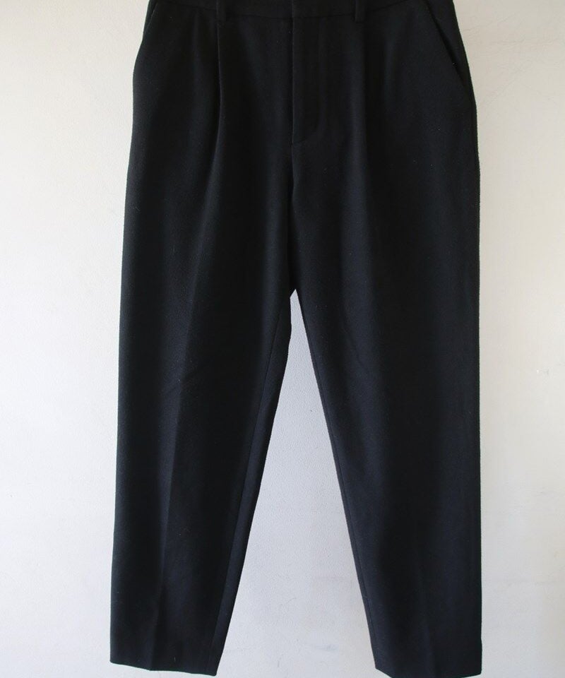 T/R両面起毛パンツ（FRAMeWORK） 単品 | FITTING LOG
