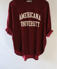 Tシャツ L’Appartement　（単品）