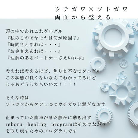 Reborn healing program オンライン