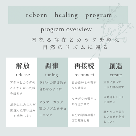 Reborn healing program オンライン
