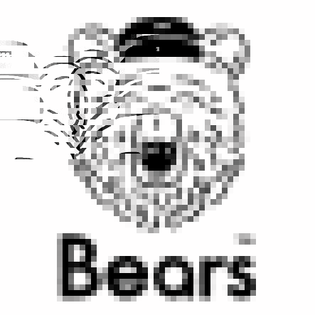 Bears