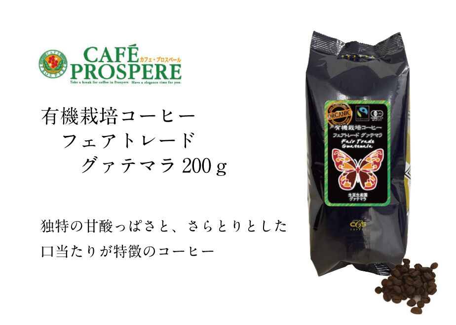 有機栽培コーヒー フェアトレード グァテマラ 200g | シーシーエス