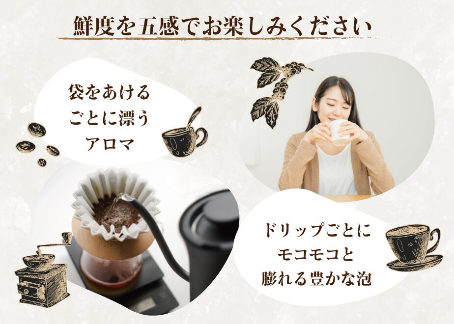 カフェインレスコーヒー 200ｇ | シーシーエスコーヒー ちはや本店