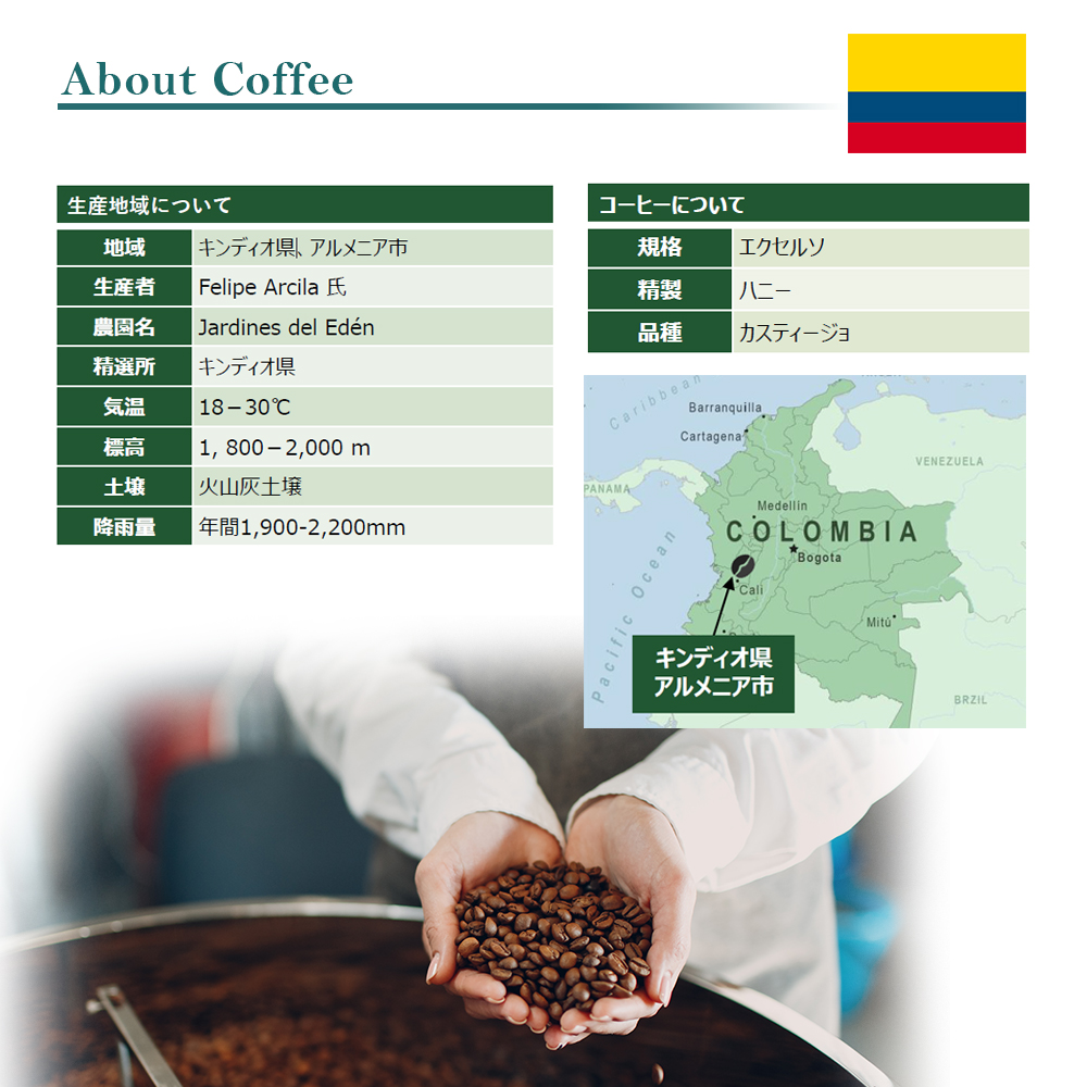 スペシャルティコーヒー コロンビア キンディオ インフューズド