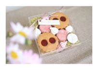 Coffret printemps ●4/25-5/10発送