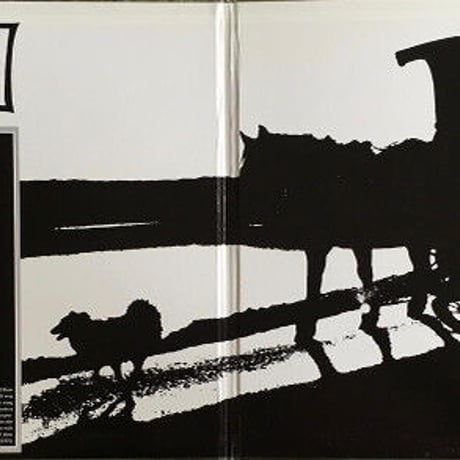 ヴァシュティバニヤン /  JUST ANOTHER DIAMOND DAY   新品輸入レコード