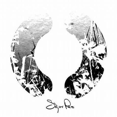 【SIGUR RÓS】 シガーロス スウェット 　Mサイズ SIGUR ROS SIGUR RÓS】 シガーロス スウェット Mサイズ SIGUR ROS