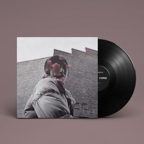 オルダス・ハーディング / Warm Chris 新品輸入レコード