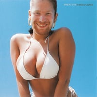 エイフェックス・ツイン / Windowlicker 新品輸入レコード