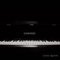 カルロスアギーレ / カミーノス  新品国内レコード