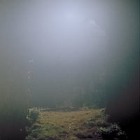 笹久保伸  /  VENUS PENGUIN（クリアヴァイナル） 国内新品レコード