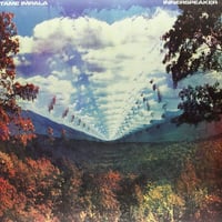 テームインパラ / INNERSPEAKER  新品輸入レコード