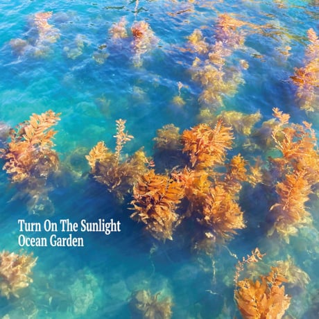 ターン・オン・ザ・サンライト / Ocean Garden  新品国内レコード