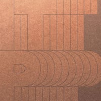 いとうせいこう is the poet - 怒りを吠えるけもの(acappella)c/w 怒りを吠えるけもの(inst)(7")