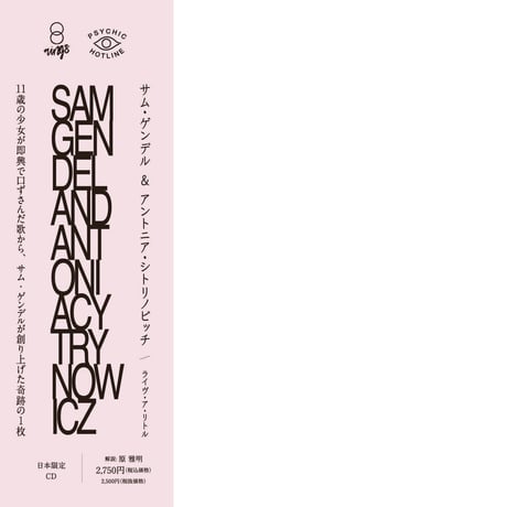 Sam Gendel & Sam Wilkes レコード 3枚セット 新品 n_t0110191_780.jpg