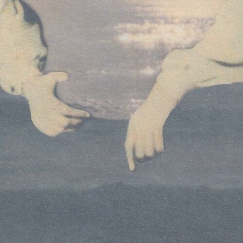 君島大空 / 袖の汀 新品レコード | JEUGIA[BASIC.]ONLINE