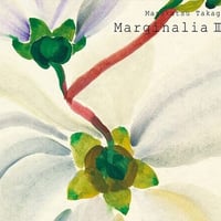 高木正勝 - マージナリアⅢ