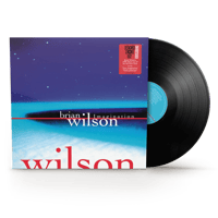 BRIAN WILSON - IMAGINATION (LP) 【RSD 2026】 新品輸入レコード