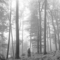 テイラー・スウィフト / folklore【1. the “in the trees” edition deluxe vinyl】 輸入新品レコード