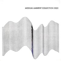 V.A. / MEDIUM AMBIENT COLLECTION 2022 WHITE  新品レコード