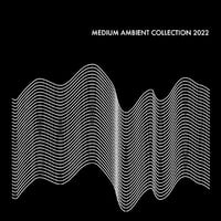 V.A. / MEDIUM AMBIENT COLLECTION 2022 BLACK  新品レコード