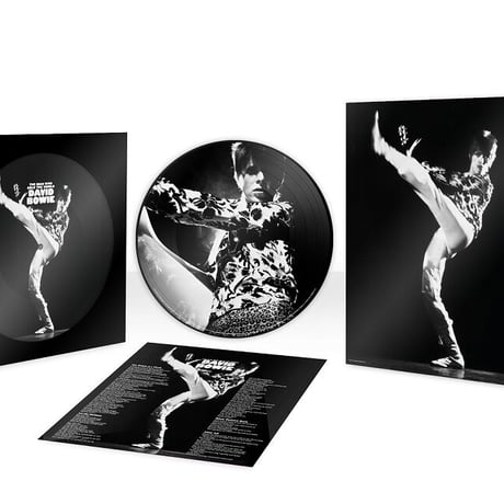 デヴィッド・ボウイ / 世界を売った男 (限定ピクチャー・ディスク) 新品輸入レコード