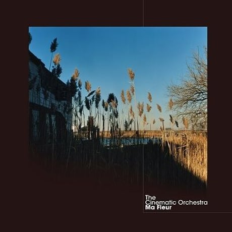 CINEMATIC ORCHESTRA  - MA FLEUR (2LP CLEAR VINYL)