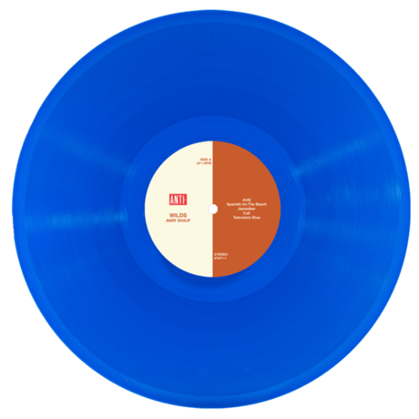 アンディ・シャウフ Andy Shauf /  Wilds (TRANSLUCENT BLUE VINYL)  新品輸入レコード