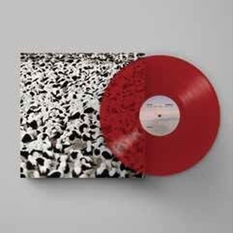 ステラドネリー /  FLOOD・日本限定カラー盤(クリアー・レッド）新品輸入国内仕様レコード