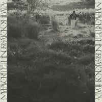 柴田聡子 / My Favorite Things  新品レコード