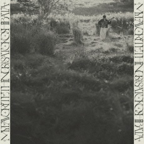 柴田聡子 / My Favorite Things  新品レコード