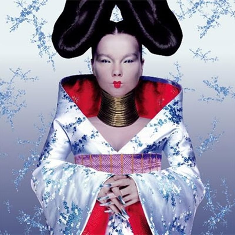 Bjork Homogenic LP 輸入盤 Bjork Homogenic LP 輸入盤