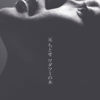 元ちとせ / ワダツミの木(2ndプレス)新品12inchレコード