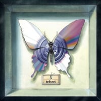 シャムキャッツ 大塚夏目藤村菅原 大塚夏目藤村菅原/SIAMESECATS/シャムキャッツ｜日本のロック