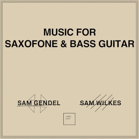 SAM GENDEL & SAM WILKES - Music for Saxofone and Bass Guitar