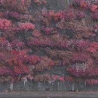 スリープ・トークン / Even In Arcadia (Metallic Gold Vinyl) 新品輸入レコード