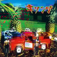 岡田拓郎 The Near End, The Dark Night レコード The Near End, The Dark Night, The County Line/岡田拓郎