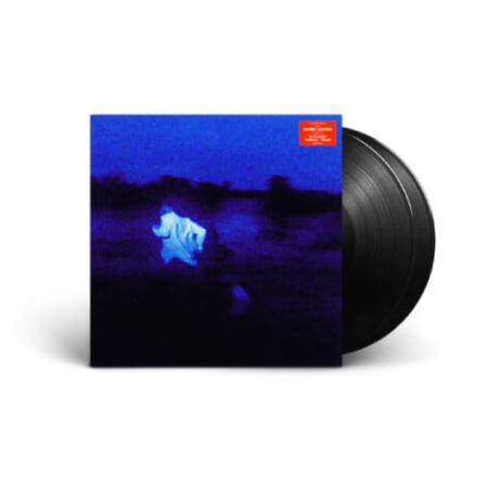 ダニエルシーザー / NEVER ENOUGH 新品輸入レコード