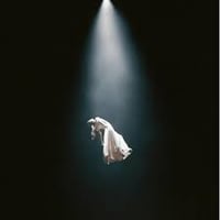 アリアナ・グランデ / eternal sunshine deluxe: brighter days ahead (Transparent Marble Vinyl) 新品輸入レコード