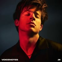 チャーリープース  / VOICENOTE 新品輸入レコード