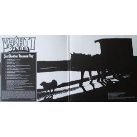 Vashti Bunyan / ヴァシュティ・バニヤン – Just Another Diamond Day 新品輸入レコード