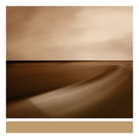 ブライアン・イーノ /  Small Craft On A Milk Sea  新品輸入レコード