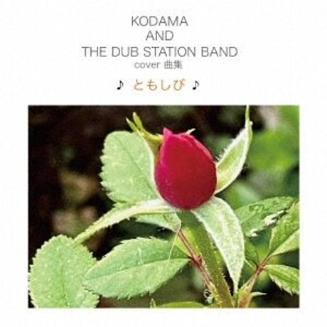 KODAMA AND THE DUB STATION BAND / COVER曲集 ♪ともしび♪ (CD)