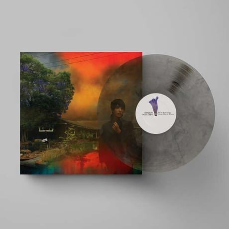 シャロン・ヴァン・エッテン  /  WE'VE BEEN GOING ABOUT THIS ALL WRONG(Marble Smoke Colored Vinyl) 新品輸入レコード