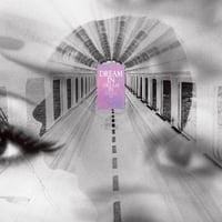 コーネリアス / 夢中夢 -Dream In Dream- 新品レコード