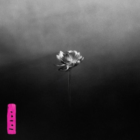 リトル・シムズ / Lotus  新品輸入レコード国内仕様